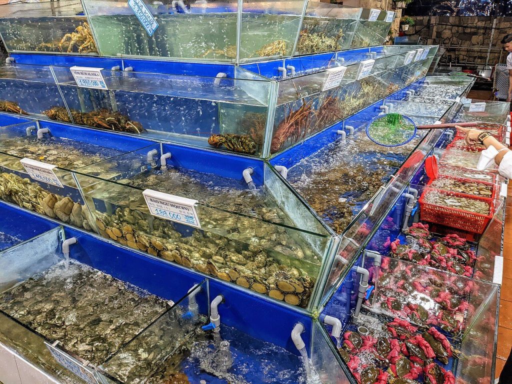 Bể hải sản tươi sống trong một nhà hàng ở Đà Nẵng